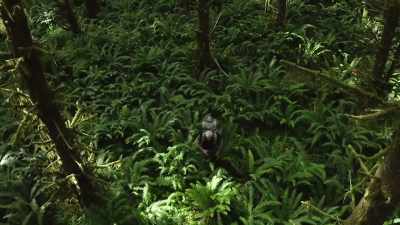 [Russell] The ground
around here - Expedition Bigfoot