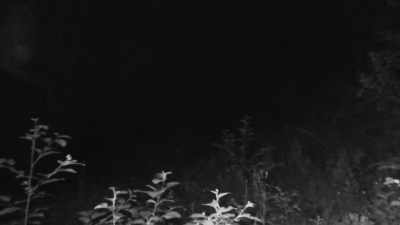 [Russell]  The way I see it, - Expedition Bigfoot