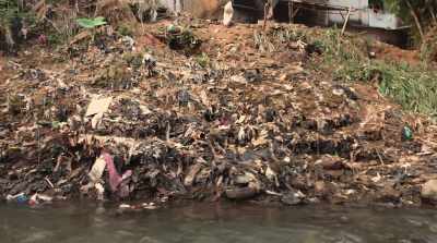                   Russell:
         Unfortunately, data are
       coming back that plastics - The Story of Plastic
