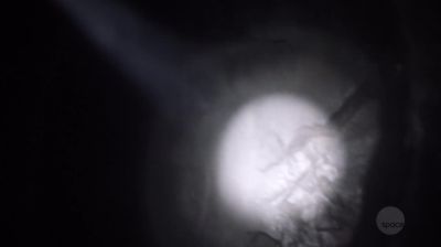 [ Rustling in distance ] - Supernatural