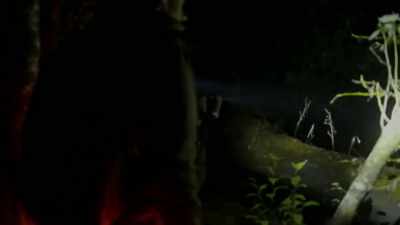 -[rustling]
-[Mireya] What the [bleep] - Expedition Bigfoot