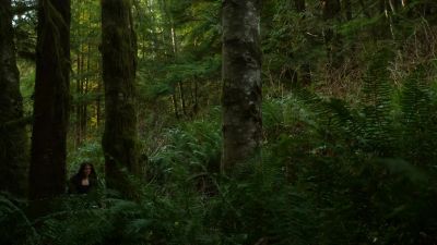 [Rustling] - The 100