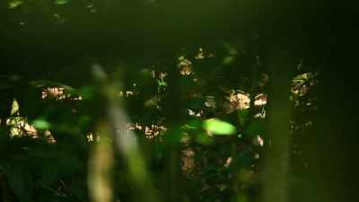 [rustling] - Our Planet
