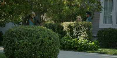 (rustling) - Dimension 404