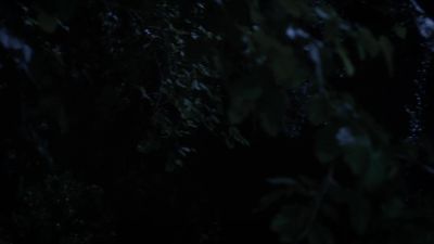 [rustling] - Pretty Little Liars