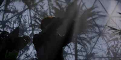 [rustling] - Batwoman