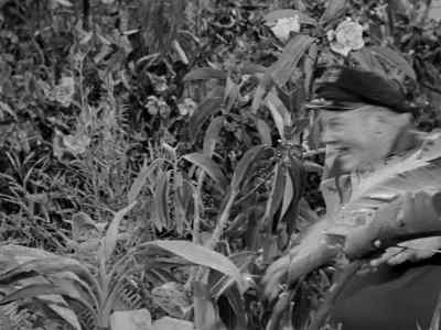 [rustling] - Gilligan's Island