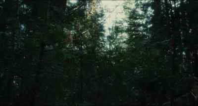 [rustling] - Drive Back