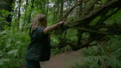 (rustling, snapping) - Trees and Other Entanglements