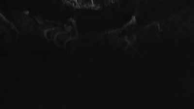 - (rustling)
- (young George gasps) - Trees and Other Entanglements