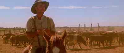 Rusty, you useless mutt! - Gallipoli