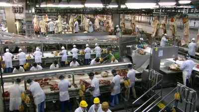 [Ruth] It sounds like
the Big Four packers, - Food and Country