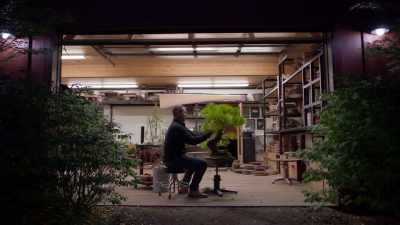 Ryan: Being a
bonsai professional, - Trees and Other Entanglements