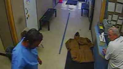 - Ryan lamb is walking back
and forth, back and forth, - Interrogation Raw