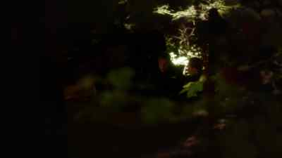 RYAN [OVER COMM]: Alpha Team's
first through the door. Clear the path. - Nikita