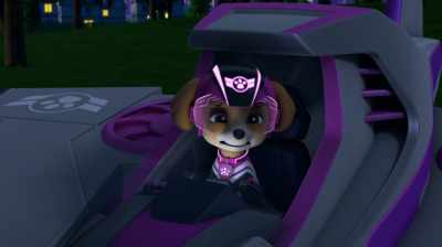Ryder was counting on me to
lead this mission, - PAW Patrol: Jet To The Rescue