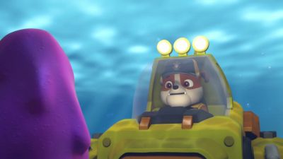 Ryder, we see the broken post! - PAW Patrol