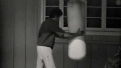Saat The Green Hornet
dibatalkan... - Be Water