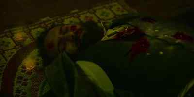 (Saba whimpering) - Gangs of London
