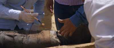 [Sabry] So some sort of… - Secrets of the Saqqara Tomb