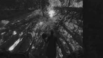 - (sack rustles)
- (thunder rumbles) - Trees and Other Entanglements
