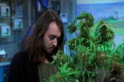 [Sadie in Mandarin] - Disjointed