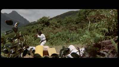 'Sadly, these few takes - The Final Game of Death