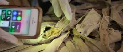 [Salima gasps] - Secrets of the Saqqara Tomb
