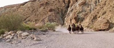 Sallah I said no camels - Indiana Jones and the Last Crusade