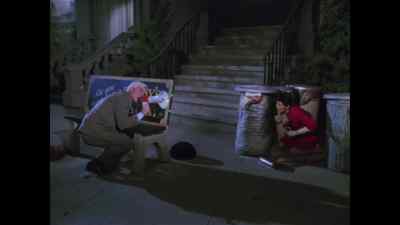 Sally! Sally Decker! - Police Squad!
