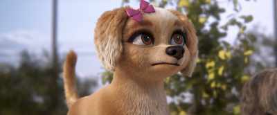 Salt Lake is very far. - Gracie & Pedro: Pets to the Rescue
