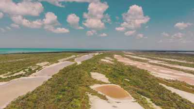 Salty seawater combines
with sweet rain, - Eva Longoria: Searching for Mexico