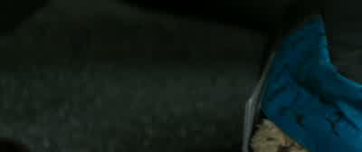 Sam. All right. All right. - The 5th Wave