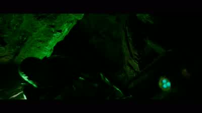 Becca? Sam? Becca? Becca! Sam! - Becca! - It's Juno. Becca! The noise she's making, she'll bring eve - The Descent