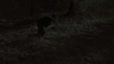 (Sam breathing heavily) - Wolf Mountain