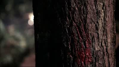 SAM: Dean. - Supernatural