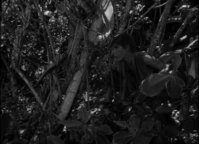 Sam and Eric Hey Sam and Eric - Lord of the Flies