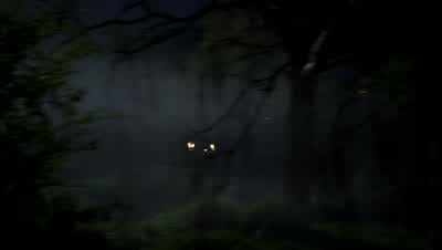 SAM: Hey, Dean? - Supernatural