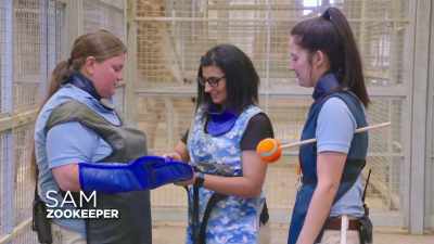 Sam: Hold on, you're not,
you gotta wrap it - Secrets of the Zoo