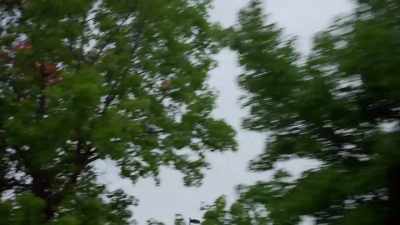 Sam: I did have an appointment
at a Planned Parenthood, - Impact x Nightline