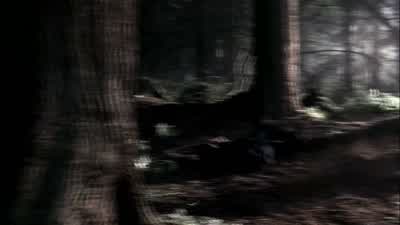 SAM: Let's go. - Supernatural