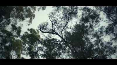 SAM: Mandy, um,
we found Zoe's body. - Black Snow