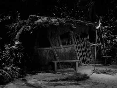(Sam)
'Sam wants a cracker,
Sam wants a cracker.' - Gilligan's Island