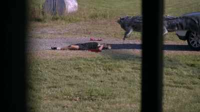 [Sam screams] - Bad CGI Gator