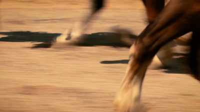 Sam, v/o: earp bought the whole
thing hook, line, and sinker - The Legend of 5 Mile Cave