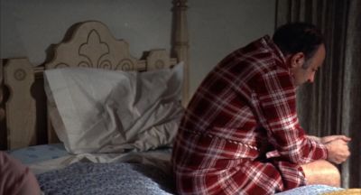 Sam we've been married for years - Everything You Always Wanted to Know About Sex * But Were Afraid to Ask
