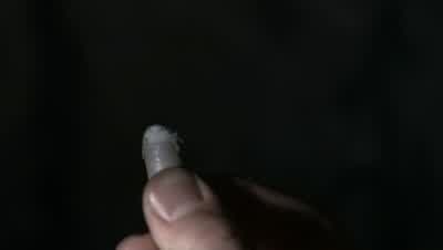 SAM: It's a fingernail. - Supernatural