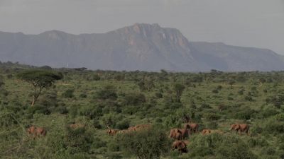Samburu, in Northern Kenya. - Chasing the Rains