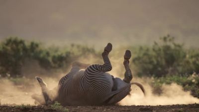 Samburu is turning to dust. - Chasing the Rains
