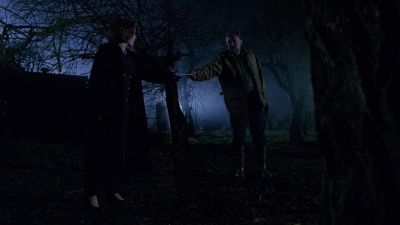 Same as this tree. - The X-Files